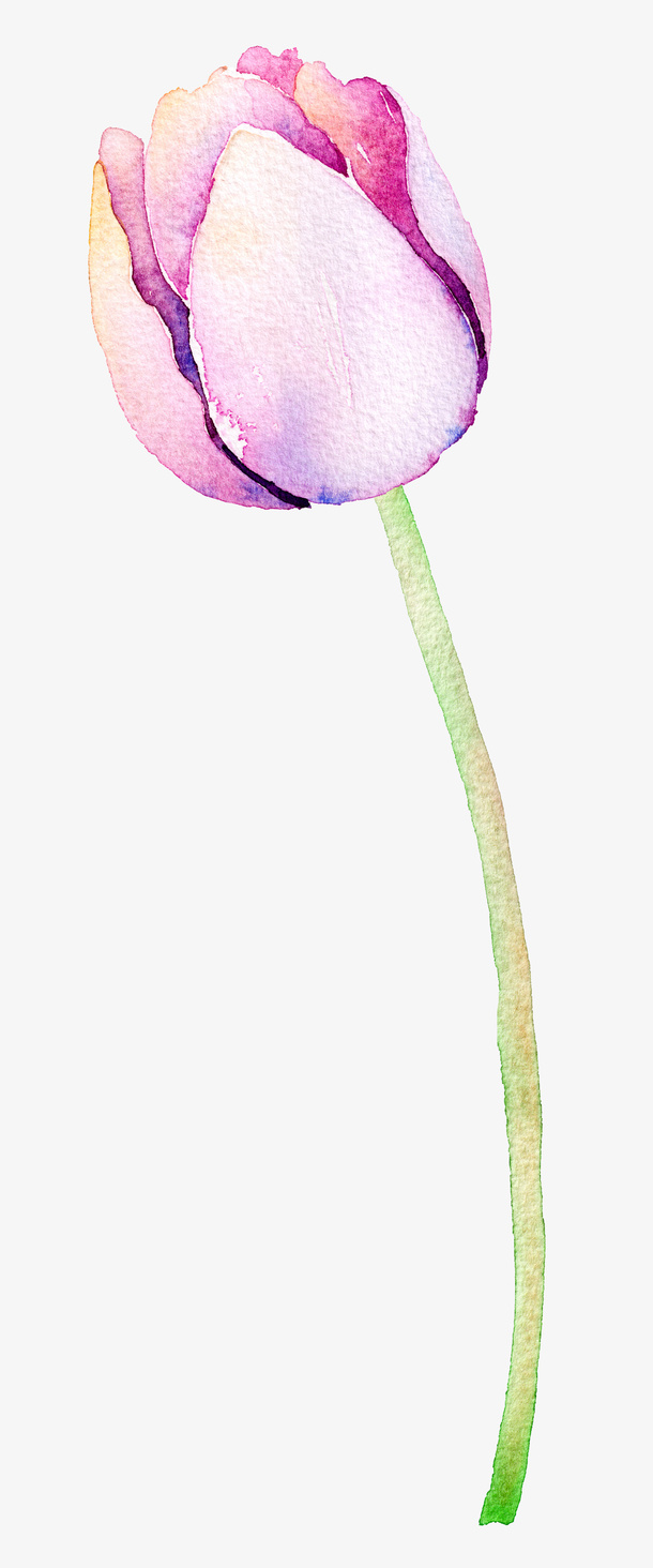 高清免抠手绘水彩花蕾素材免抠