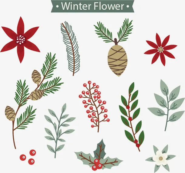 冬天花朵免抠
