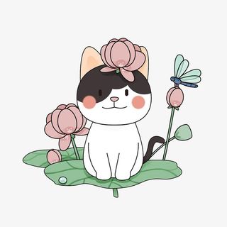 头顶荷花的花猫免抠