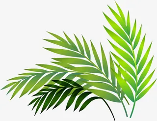 春意盎然绿色小草免抠