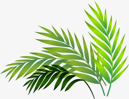春意盎然绿色小草免抠 春意盎然绿色小草免抠