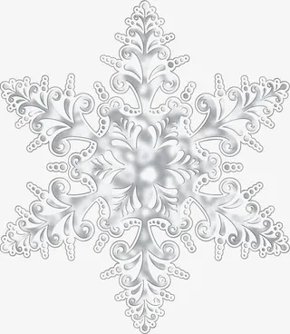 雪花质感银白色雪花免抠