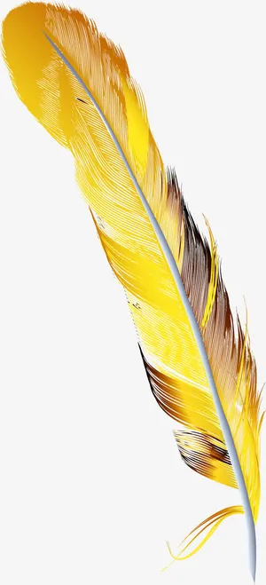 手绘羽毛免抠