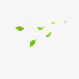 飘落的叶子免抠