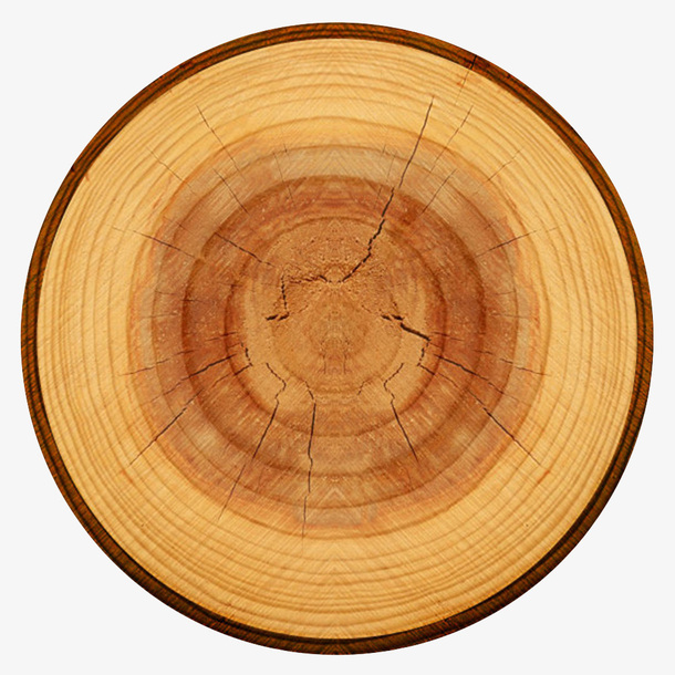 黄色中心布满裂纹的木头截面实物免抠
