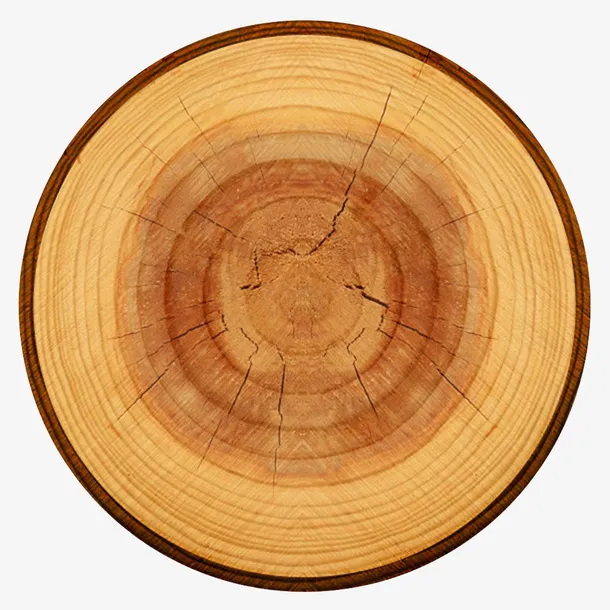 黄色中心布满裂纹的木头截面实物免抠