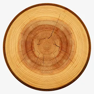 黄色中心布满裂纹的木头截面实物免抠