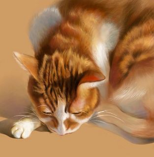 美短三花色猫免抠背景卡通/手绘元素