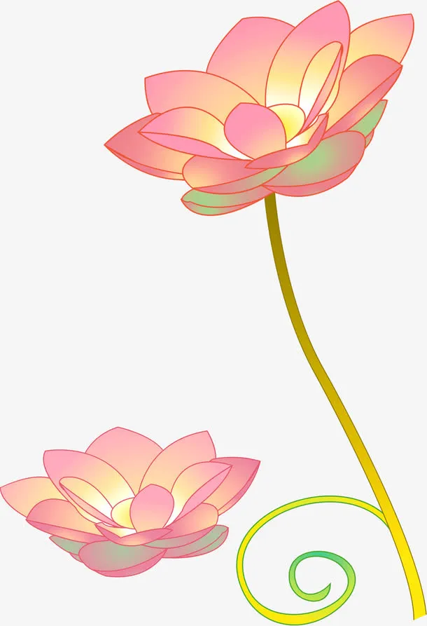 手绘黄粉色荷花花苞免抠