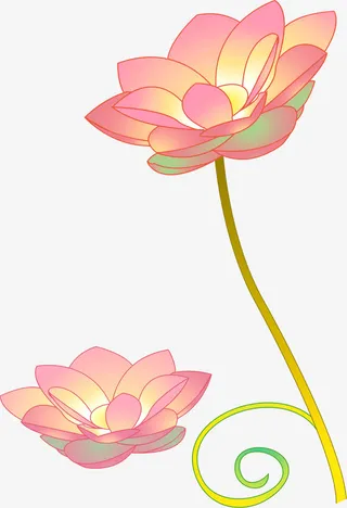 手绘黄粉色荷花花苞免抠