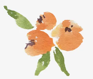 手绘树叶元素树叶飘落素材免抠