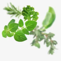 绿叶蔬菜运动漂浮免抠