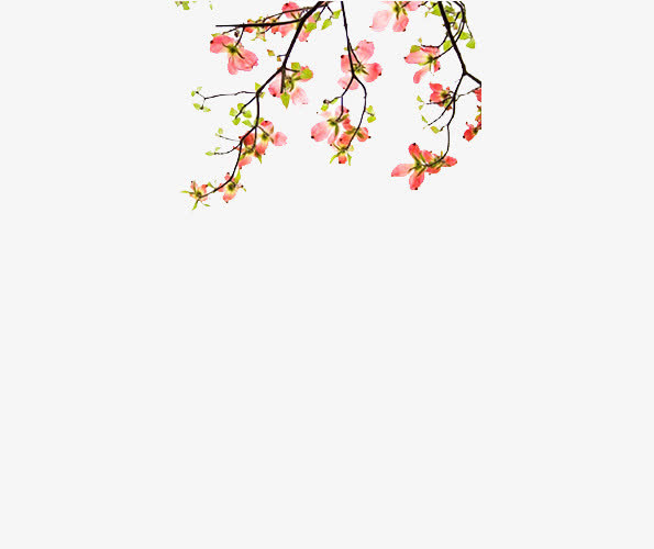 粉色桃花免抠
