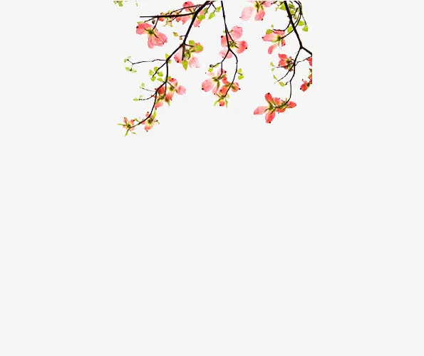 粉色桃花免抠