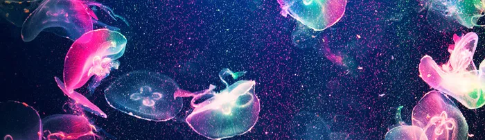 唯美梦幻背景高清