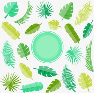 绿色简约植物树叶边框纹理免抠