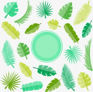 绿色简约植物树叶边框纹理免抠