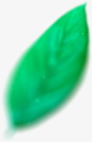 半透明 绿色叶子png素材免抠