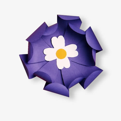 紫色的花免抠
