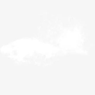 白色装饰图案清新水花免抠