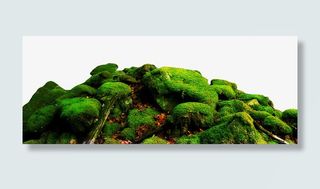 青苔与石块免抠