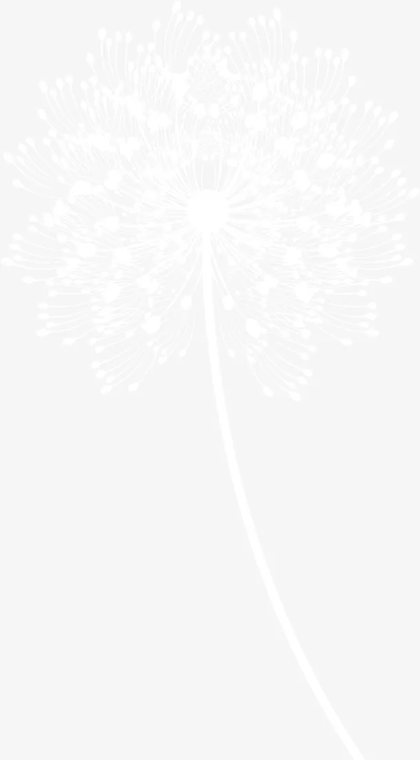 扁平风格白色蒲公英免抠
