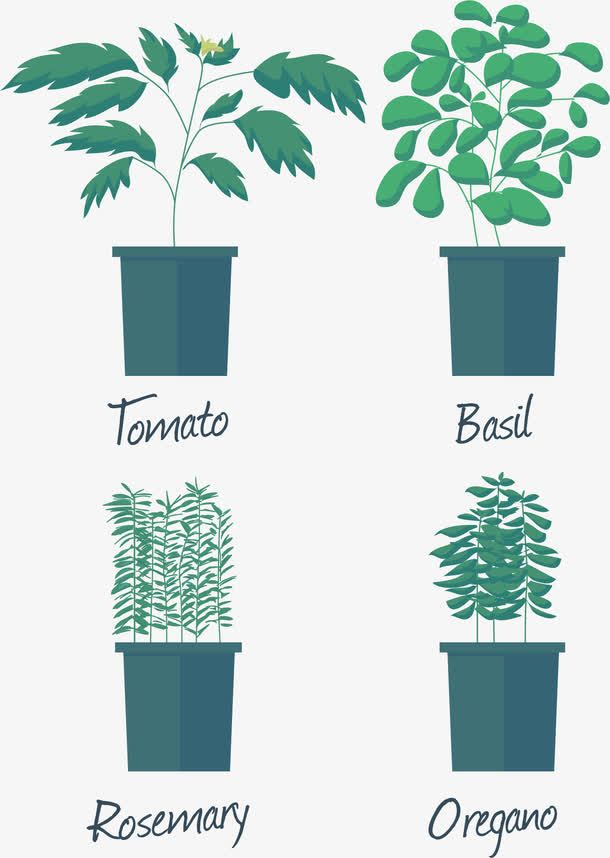 绿植盆栽矢量图免抠
