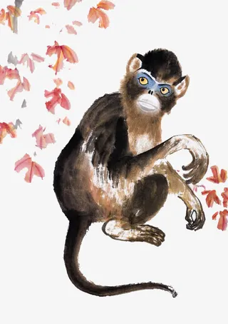 手绘黑色猴子免抠