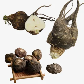 野生黑玛咖免抠