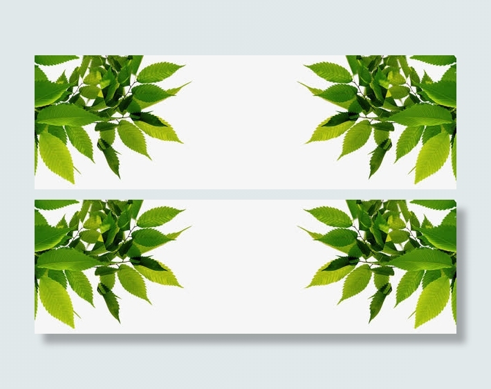 春天树叶边框免抠