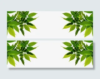 春天树叶边框免抠