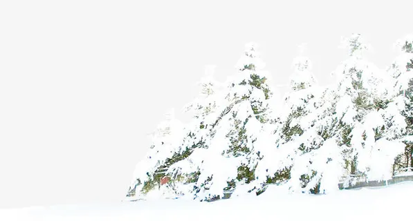 雪中的树免抠