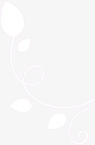 白树叶紫色边框海报免抠