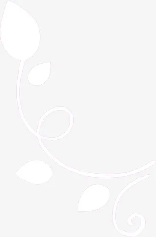 白树叶紫色边框海报免抠