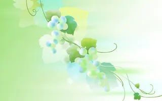 绿色葡萄绿叶淡雅壁纸免抠