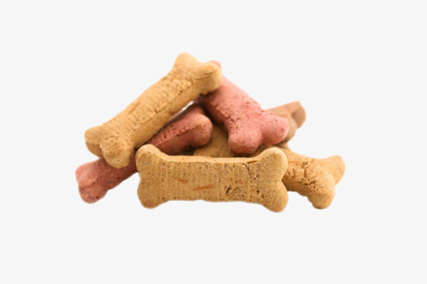 可爱动物的食物小狗骨头饼干实物免抠