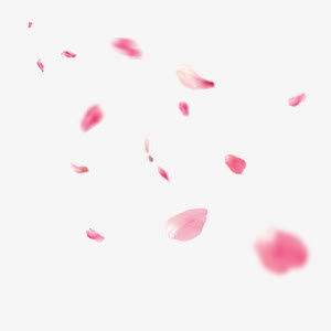 玫瑰花瓣装饰素材免抠