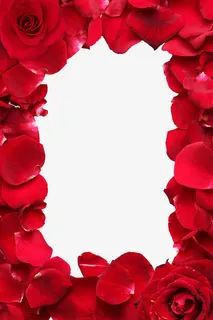 玫瑰花边框免抠