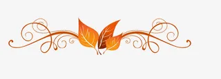 枫叶边框免抠
