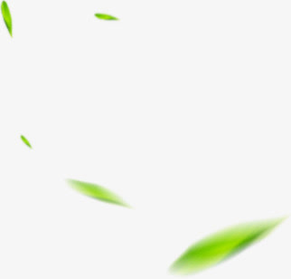 绿色叶子朦胧虚化免抠