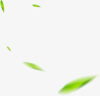 绿色叶子朦胧虚化免抠