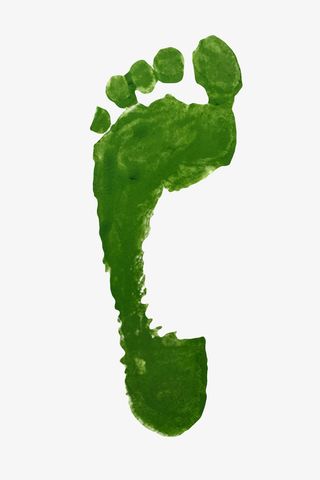 绿色颜料人类脚印素材免抠