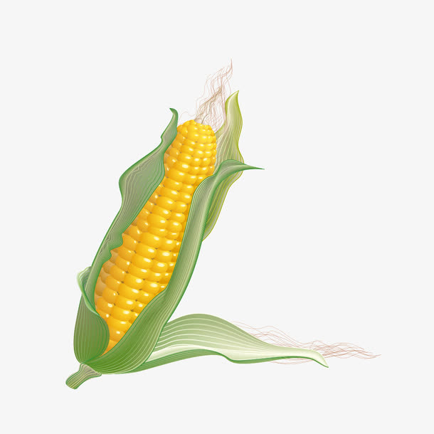 玉米矢量素材免抠