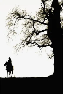 树下骑马的人免抠