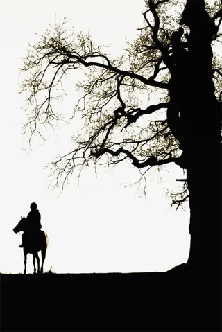 树下骑马的人免抠