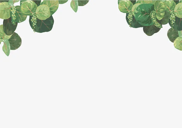 手绘绿色植物小清新免抠