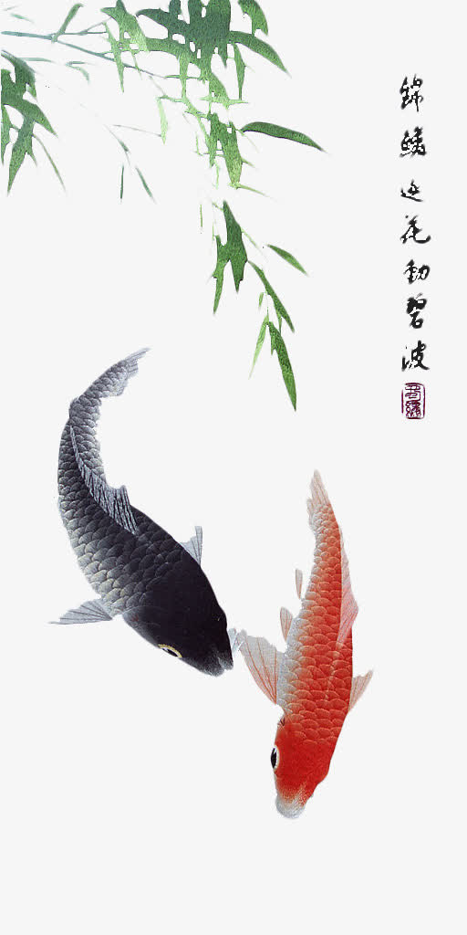 鲤鱼免抠
