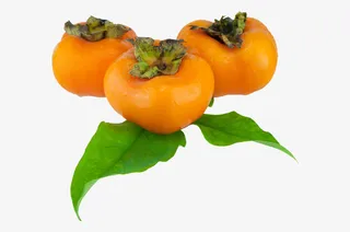 免扣 素材 柿子免抠