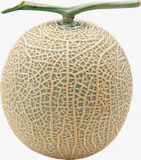 哈密瓜免抠