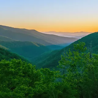 绿色风景背景高清